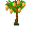 Cocoapodtree.png